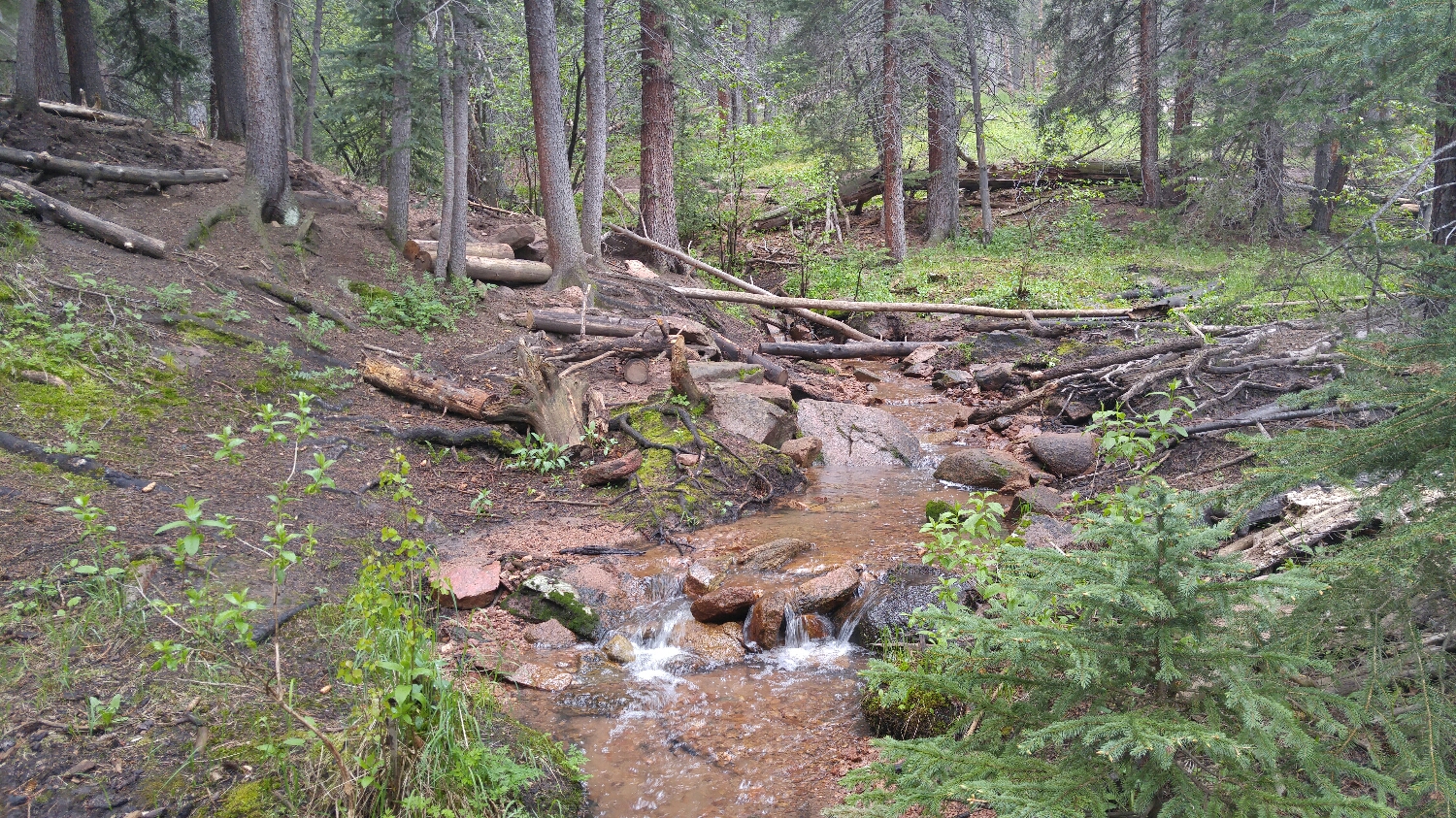 A couple nice little stream crossings