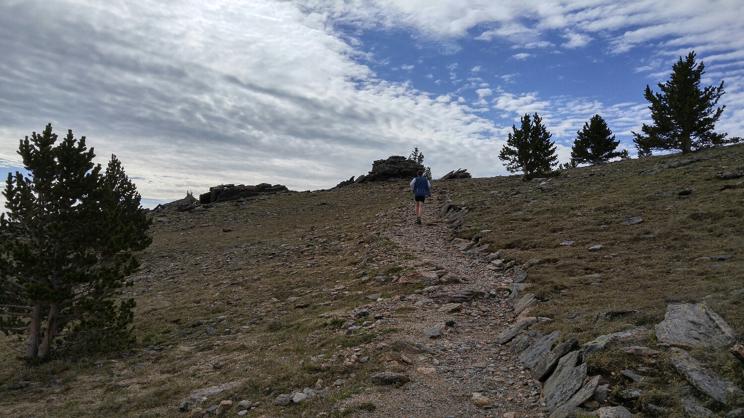 Mark on the trail