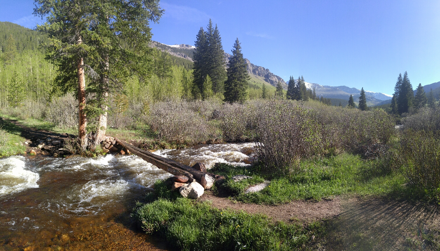 Lovely little log bridge at the first stream crossing