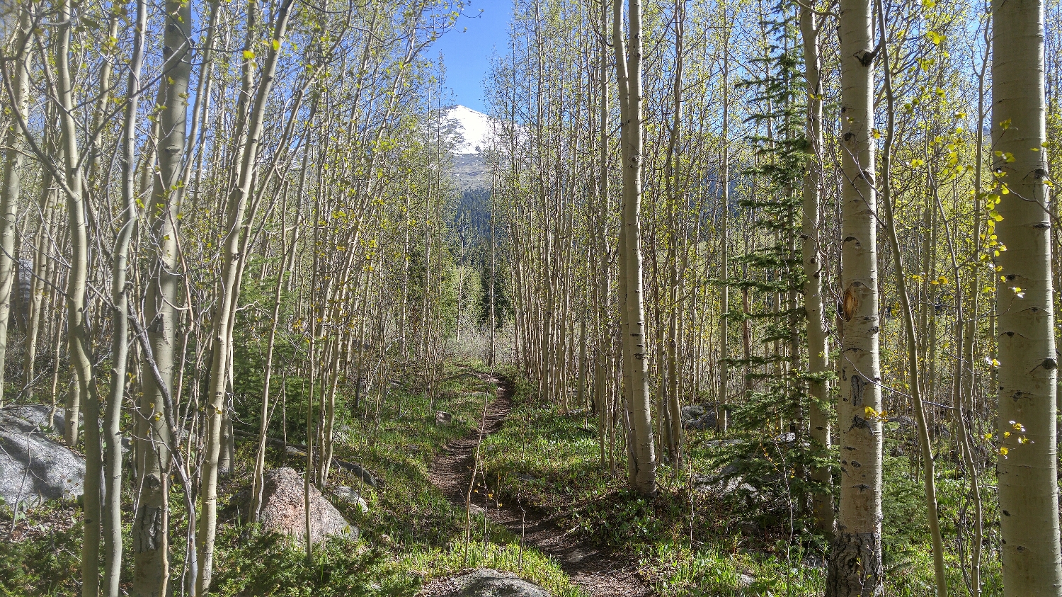 As usual, the singletrack gets better as you get further from the trail head